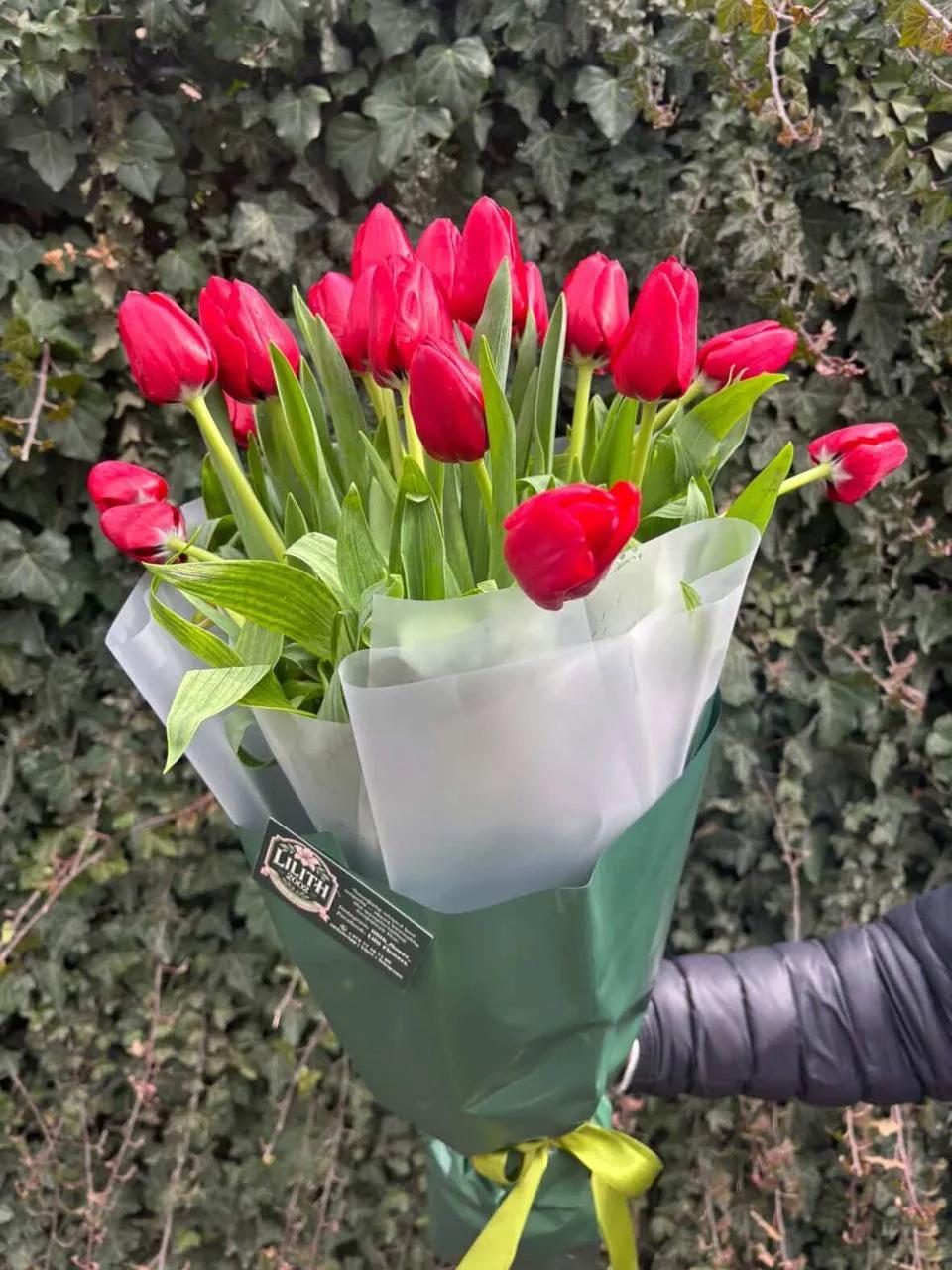 Pink tulips | ծաղիկներ, ծաղկեպսակներ, բույսեր Երևան Pink tulips | ծաղիկներ, ծաղկեպսակներ, բույսեր Երևան
