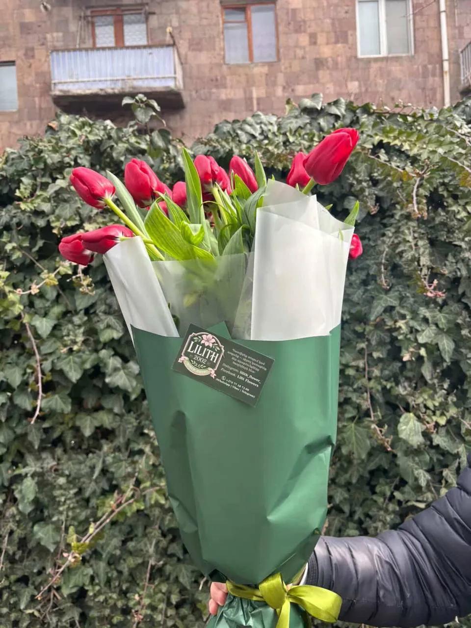Pink tulips | ծաղիկներ, ծաղկեպսակներ, բույսեր Երևան Pink tulips | ծաղիկներ, ծաղկեպսակներ, բույսեր Երևան