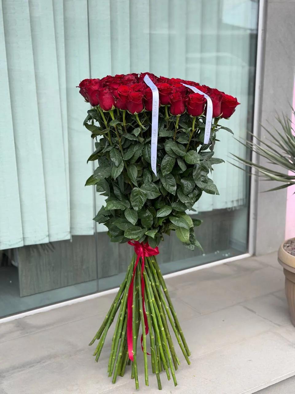 51 red roses | ծաղիկներ, ծաղկեպսակներ, բույսեր Երևան 51 red roses | ծաղիկներ, ծաղկեպսակներ, բույսեր Երևան