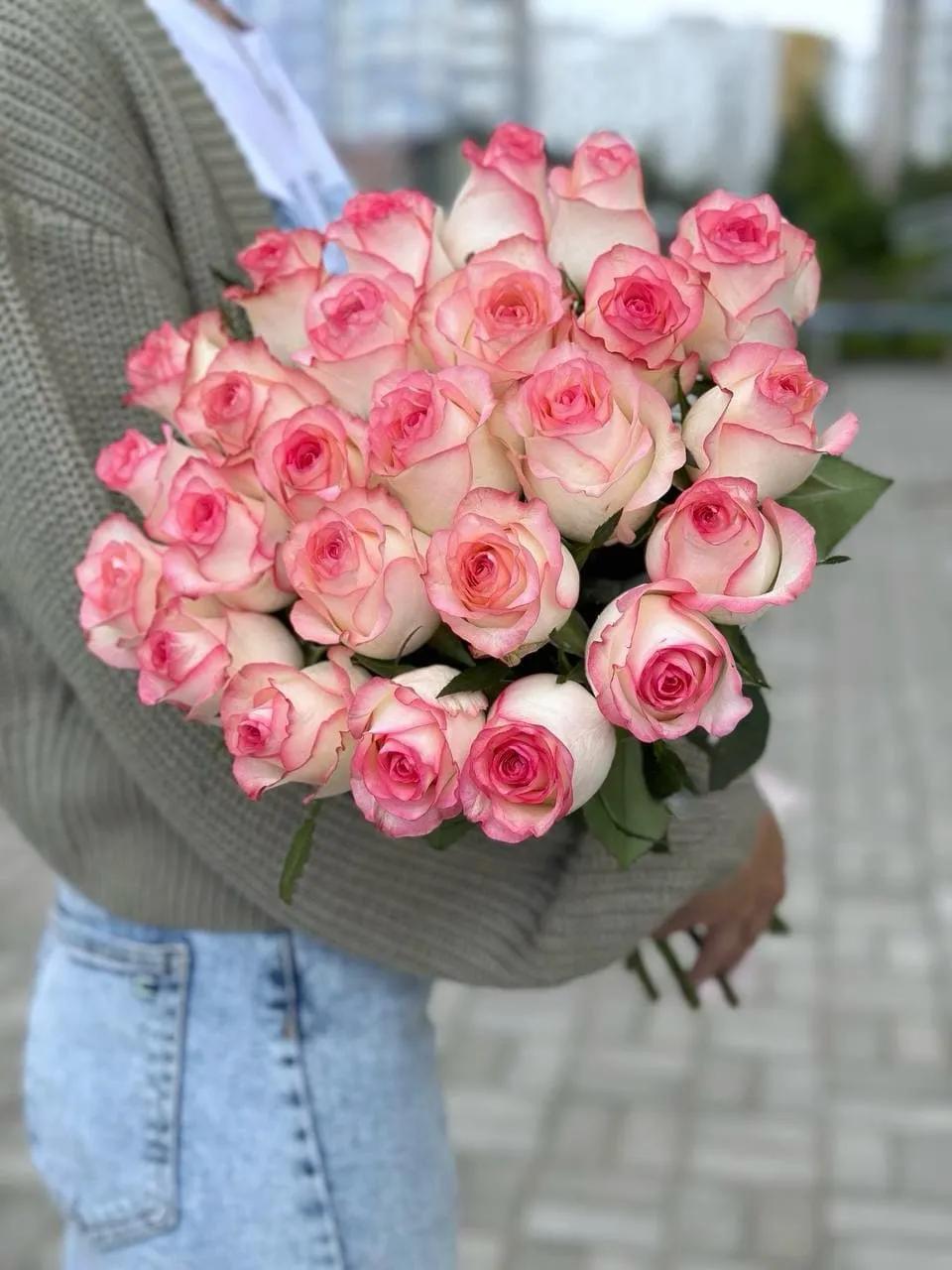 Dutch roses | ծաղիկներ, ծաղկեպսակներ, բույսեր Երևան Dutch roses | ծաղիկներ, ծաղկեպսակներ, բույսեր Երևան