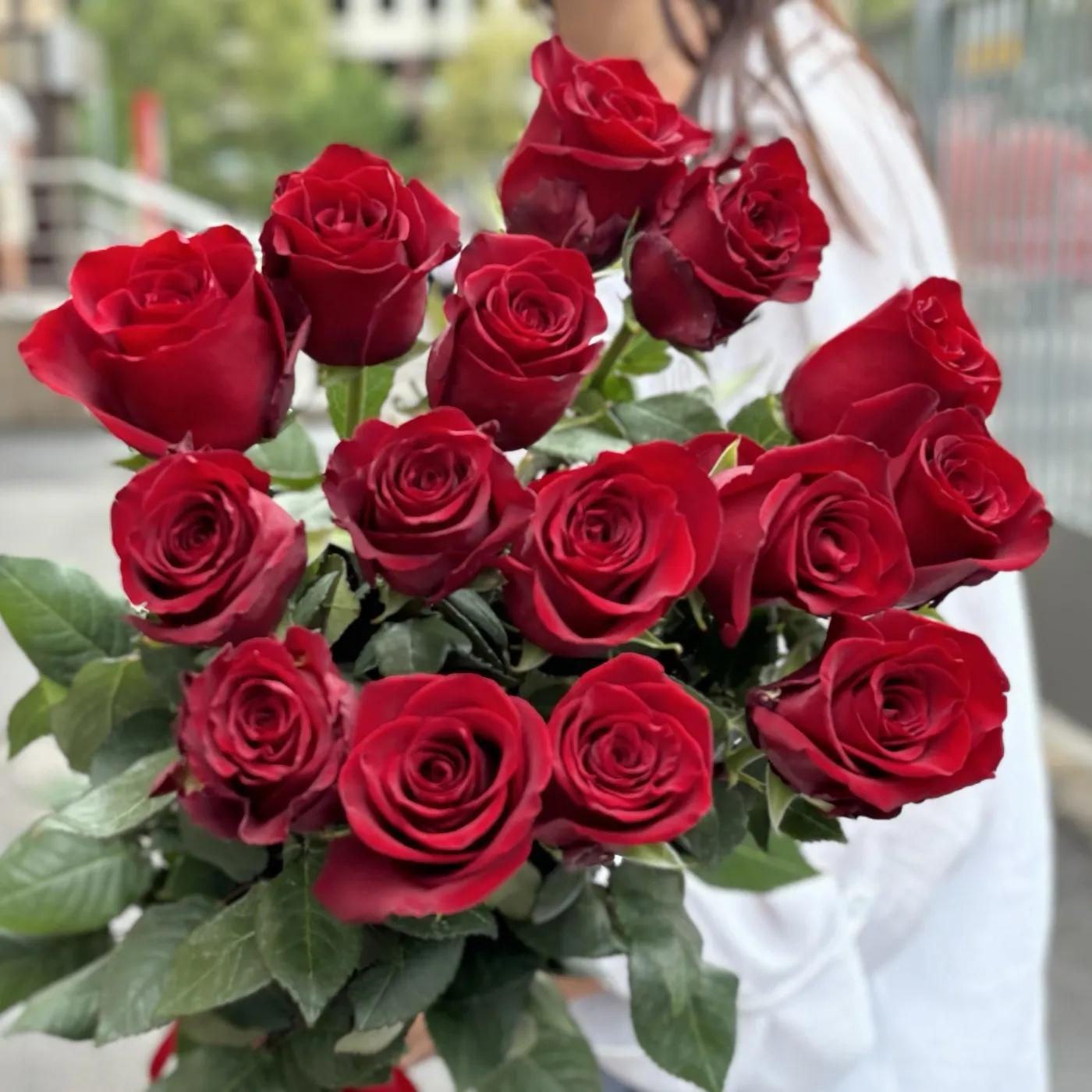 Dutch burgundy roses | ծաղիկներ, ծաղկեպսակներ, բույսեր - առաքում Երևան Dutch burgundy roses | ծաղիկներ, ծաղկեպսակներ, բույսեր - առաքում Երևան
