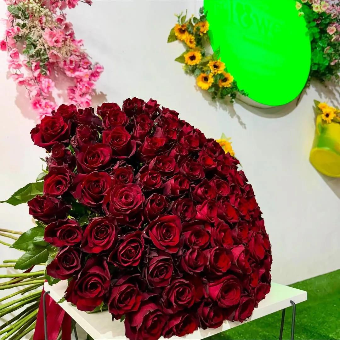 A gorgeous bouquet of Bordeaux roses | ծաղիկներ, ծաղկեպսակներ, բույսեր Երևան A gorgeous bouquet of Bordeaux roses | ծաղիկներ, ծաղկեպսակներ, բույսեր Երևան