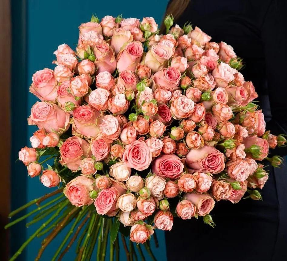 Bunch of roses | ծաղիկներ, ծաղկեպսակներ, բույսեր Երևան Bunch of roses | ծաղիկներ, ծաղկեպսակներ, բույսեր Երևան