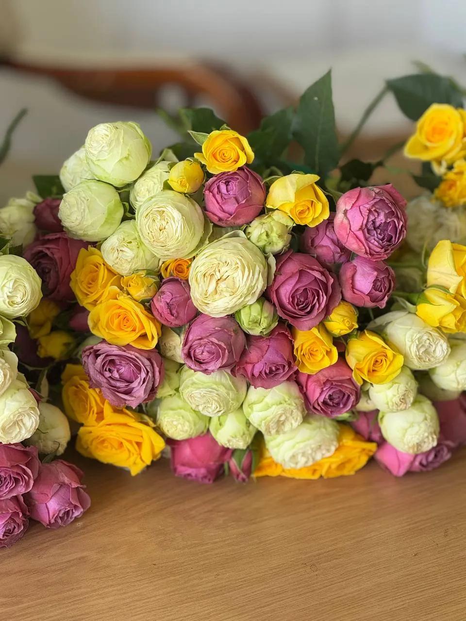 Mix of roses | ծաղիկներ, ծաղկեպսակներ, բույսեր Երևան Mix of roses | ծաղիկներ, ծաղկեպսակներ, բույսեր Երևան